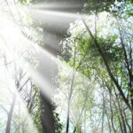 1. Φρεσκάδα Φρέσκο και καθαρό άρωμα με νότες από φρούτα, πούδρα και φρεσκάδα.