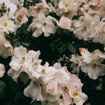 Κερί Σόγιας με άρωμα White Musk. Απαλό άρωμα με εντυπωσιακή δύναμη. Νότες από γιασεμί, τριαντάφυλλο, lily of the valley, balsamic, musk. Κλασικό και αγαπημένο!